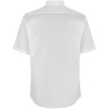 SS410 SEVEN SEAS Poplin | modern | s/s