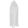 SS7 SEVEN SEAS Poplin | modern