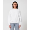 STSU798 Ledger Dry