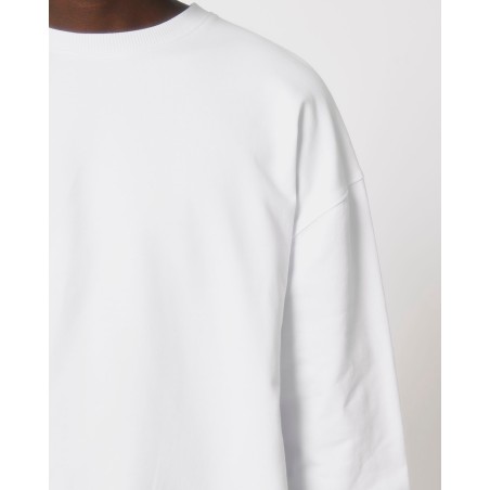STSU798 Ledger Dry
