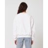 STSU798 Ledger Dry