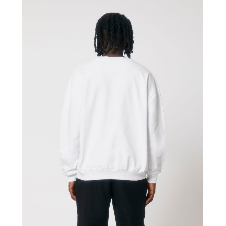 STSU798 Ledger Dry