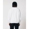 STSU798 Ledger Dry