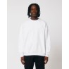 STSU798 Ledger Dry