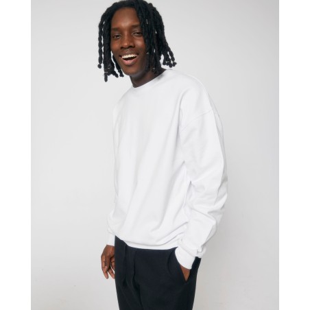 STSU798 Ledger Dry