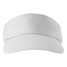 310 Sunvisor