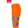 303005 Hv Shorts